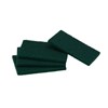 BASTION SCOURER GREEN 150MM X 100MM100 CTN