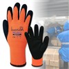 BASTION MODINA CUT 3 THERMAL GLOVE CTN 